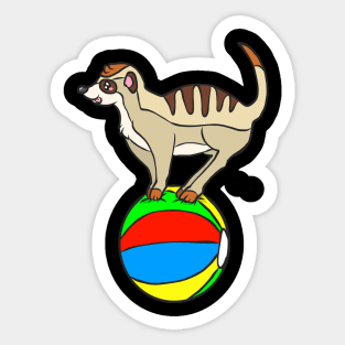 meerkat Sticker